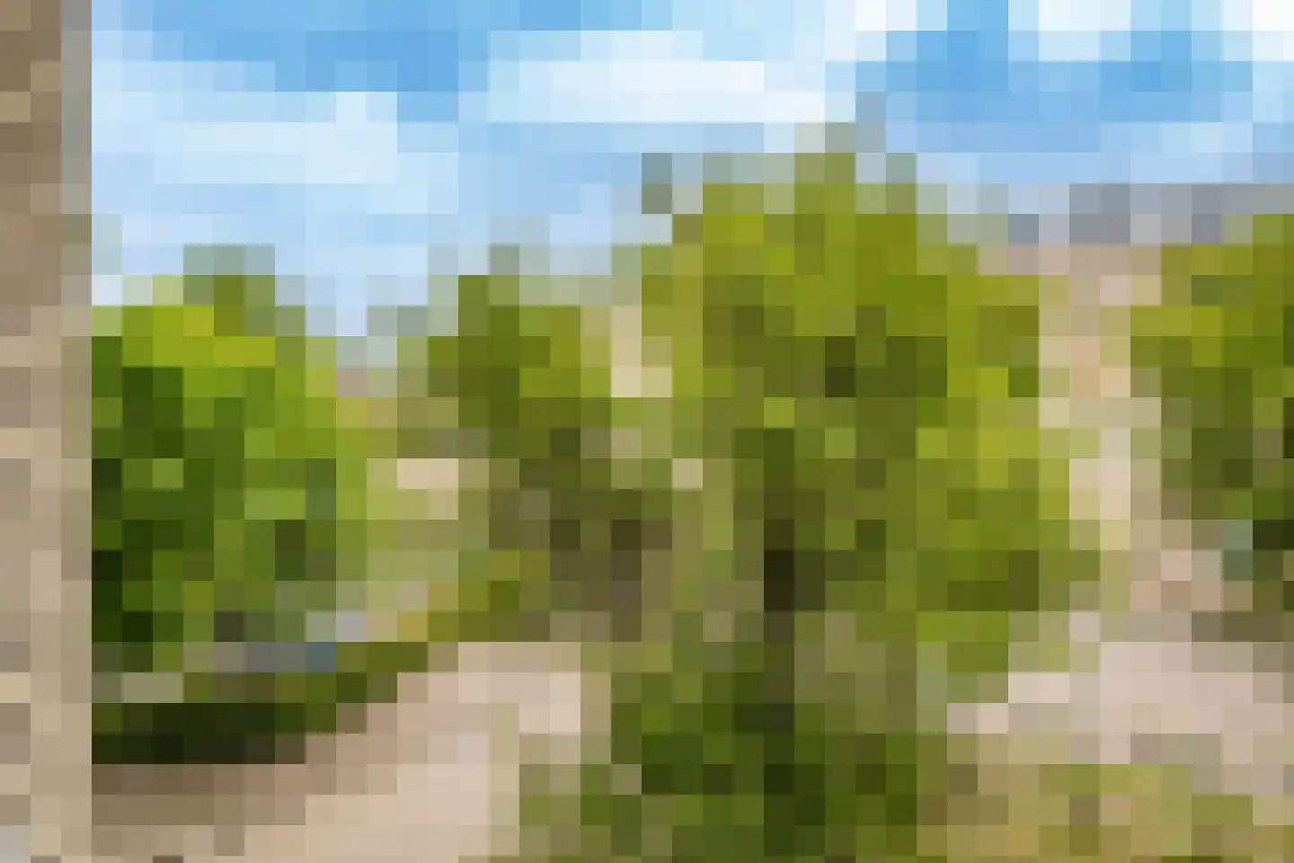 Dijkhoeve 63 Houten thumbnail 29