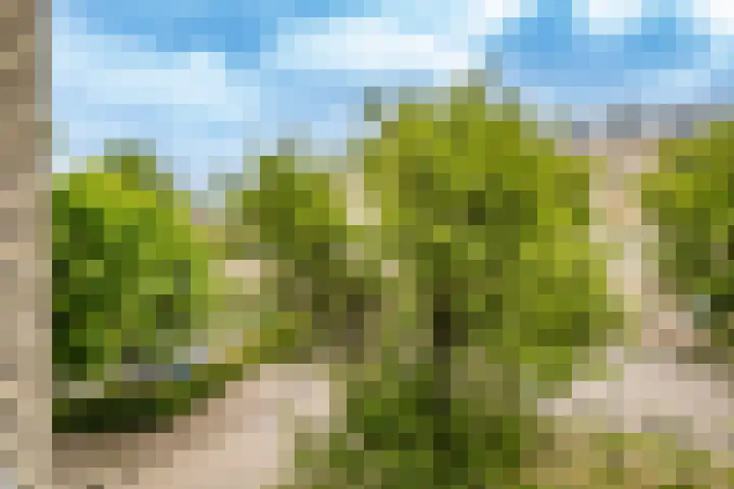 Dijkhoeve 63 Houten thumbnail 30