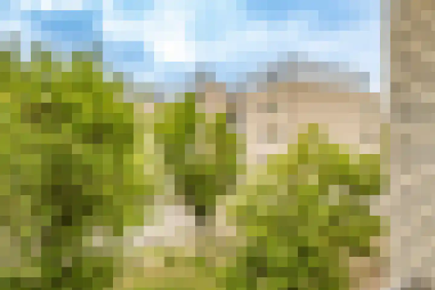 Dijkhoeve 63 Houten thumbnail 32