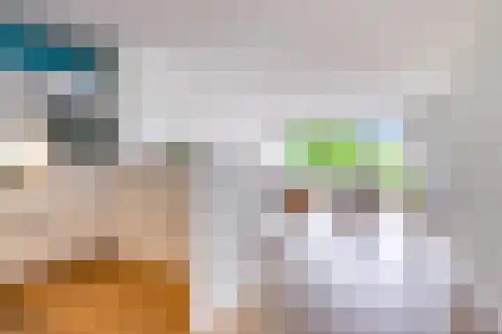 Dijkhoeve 7 06 Houten thumbnail 13