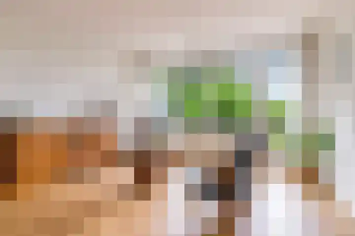 Dijkhoeve 7 06 Houten thumbnail 16