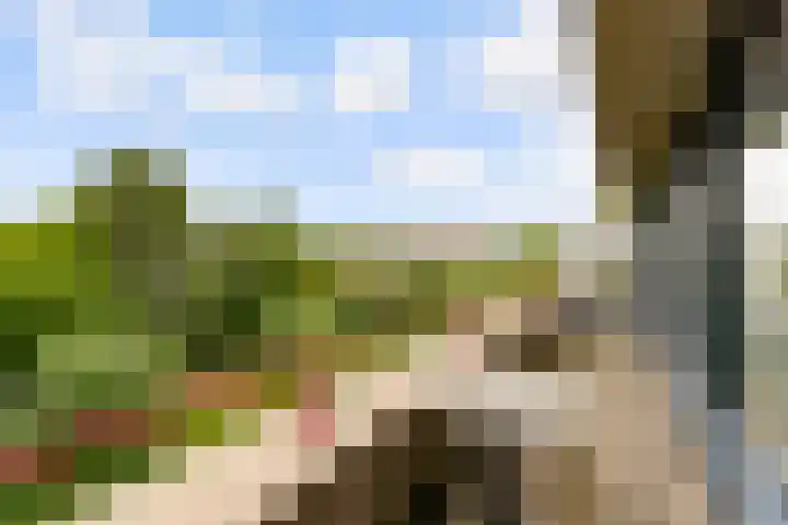 Dijkhoeve 7 06 Houten thumbnail 19