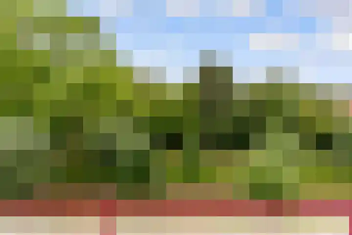 Dijkhoeve 7 06 Houten thumbnail 20