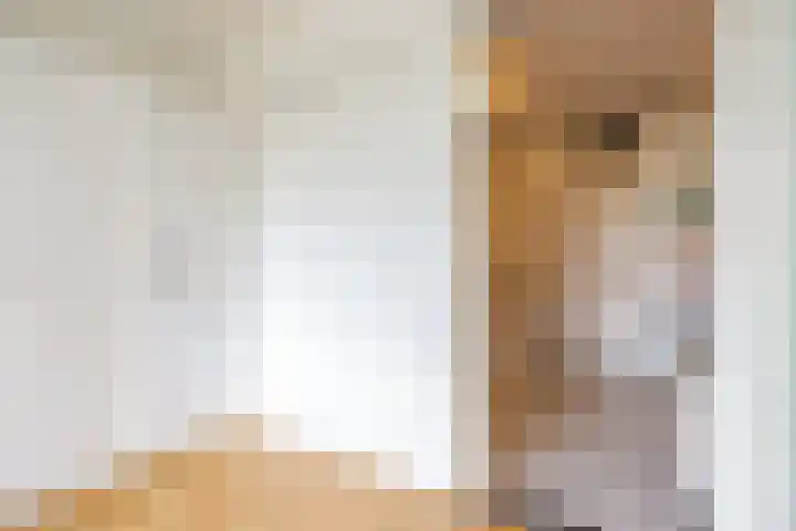 Dijkhoeve 7 06 Houten thumbnail 29