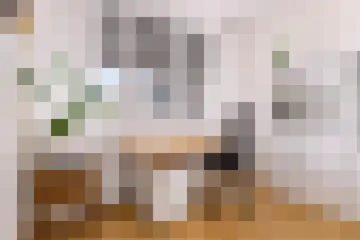 Dijkhoeve 7 06 Houten thumbnail 36