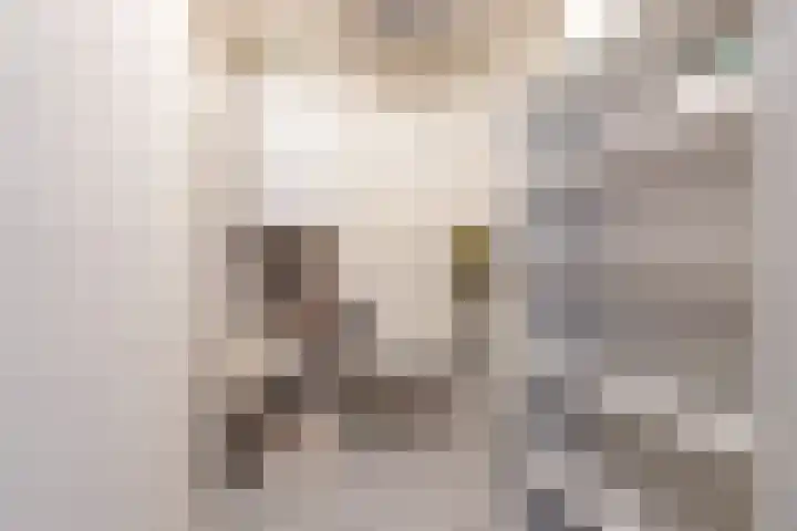 Dijkhoeve 7 06 Houten thumbnail 37