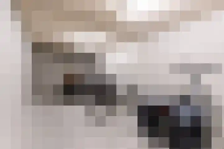 Dijkhoeve 7 06 Houten thumbnail 39