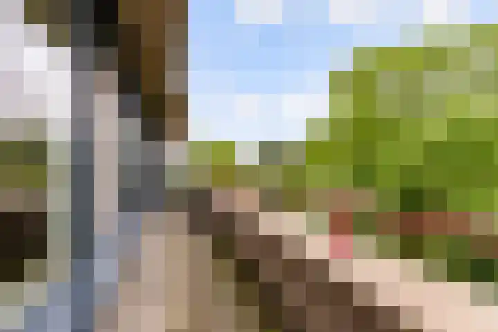 Dijkhoeve 7 06 Houten thumbnail 40