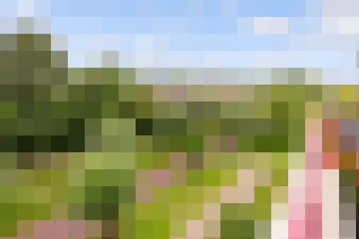 Dijkhoeve 7 06 Houten thumbnail 41