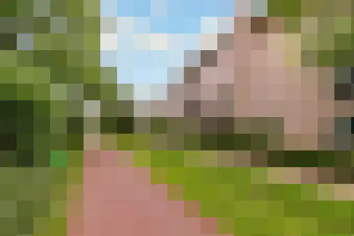 Dijkhoeve 7 06 Houten thumbnail 43