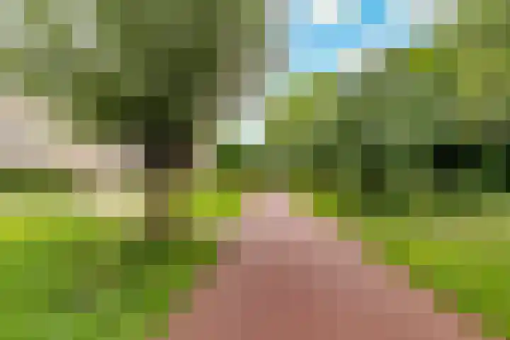 Dijkhoeve 7 06 Houten thumbnail 44