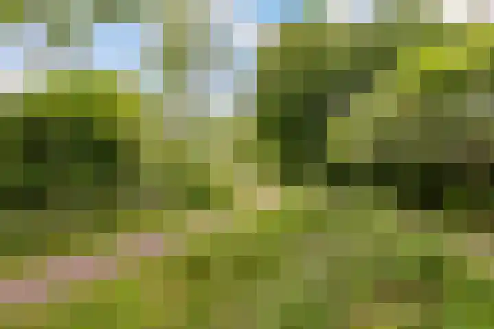 Dijkhoeve 7 06 Houten thumbnail 45