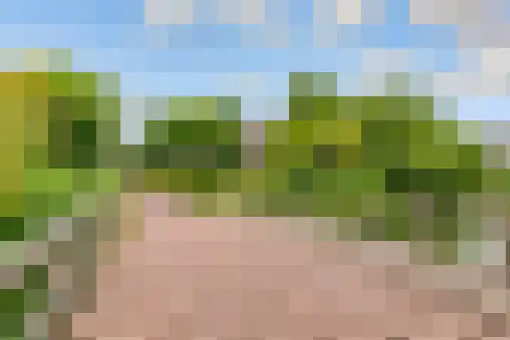 Dijkhoeve 7 06 Houten thumbnail 46