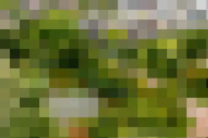 Dijkhoeve 7 06 Houten thumbnail 47