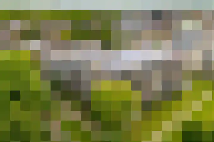 Dijkhoeve 7 06 Houten thumbnail 48