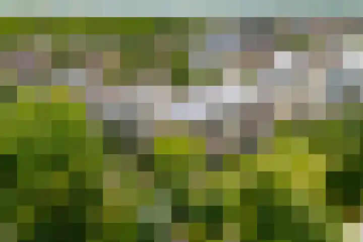 Dijkhoeve 7 06 Houten thumbnail 49