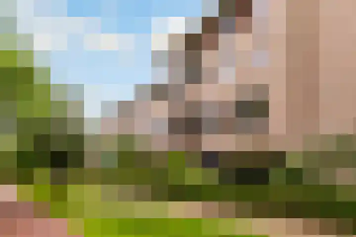 Dijkhoeve 7 06 Houten thumbnail 5