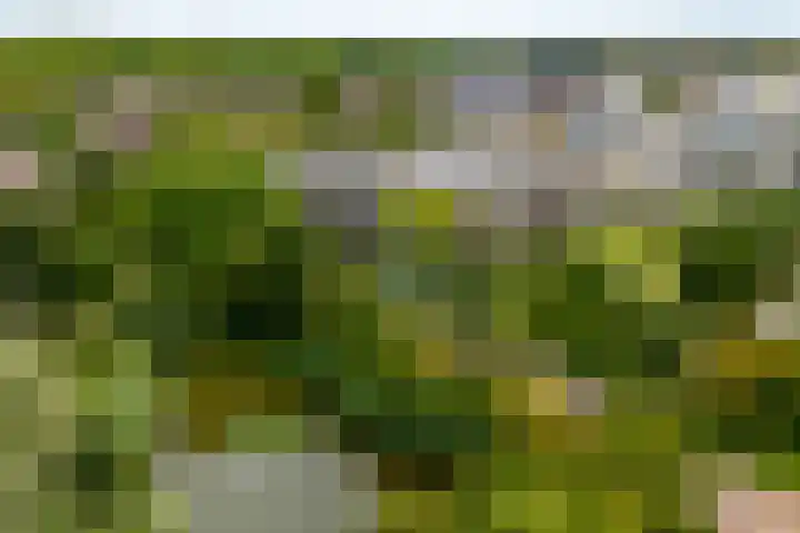 Dijkhoeve 7 06 Houten thumbnail 50