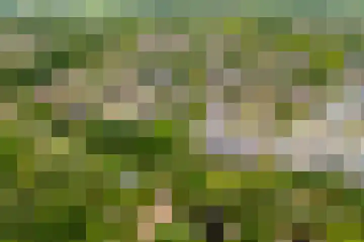 Dijkhoeve 7 06 Houten thumbnail 52
