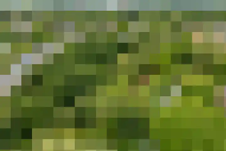 Dijkhoeve 7 06 Houten thumbnail 53