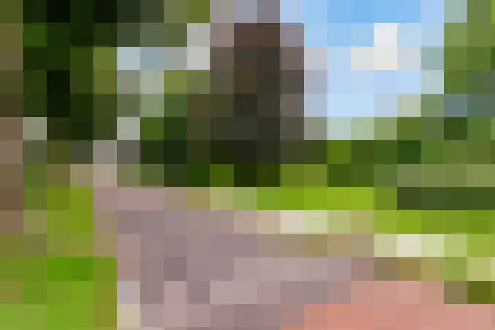 Dijkhoeve 7 06 Houten thumbnail 54