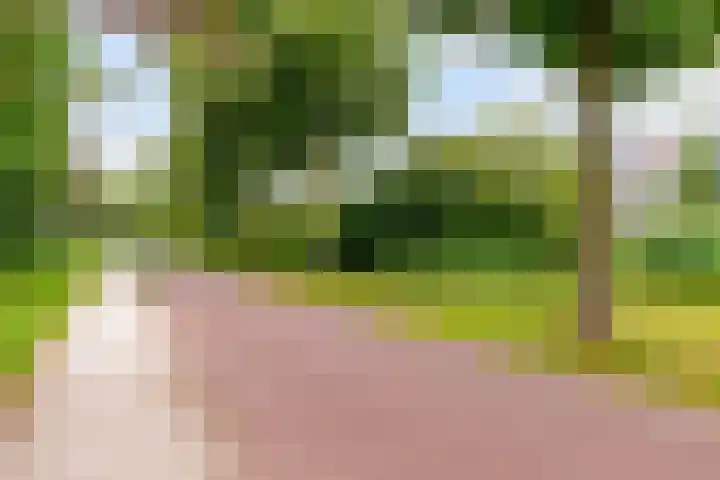 Dijkhoeve 7 06 Houten thumbnail 55