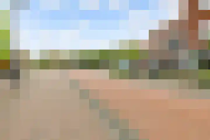 Dijkhoeve 7 06 Houten thumbnail 59
