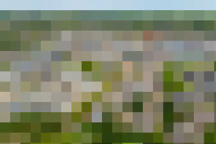 Dijkhoeve 7 06 Houten thumbnail 63