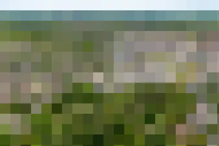 Dijkhoeve 7 06 Houten thumbnail 64