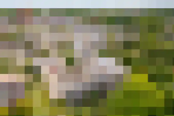 Dijkhoeve 7 06 Houten thumbnail 65