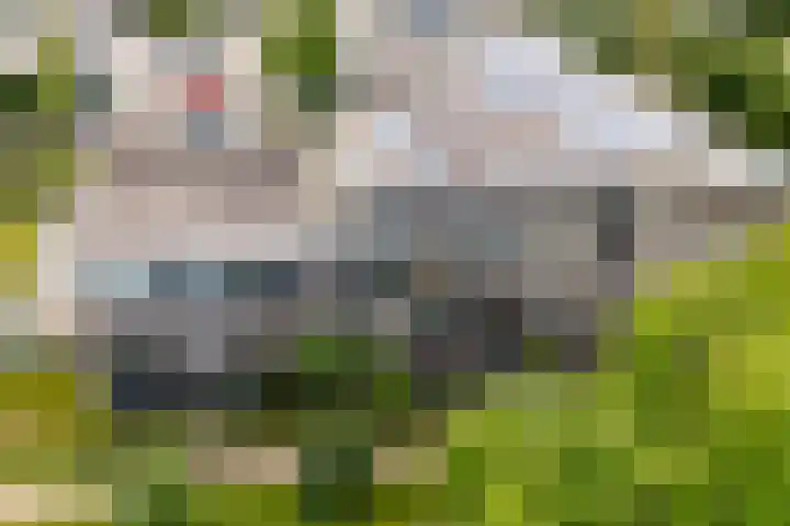 Dijkhoeve 7 06 Houten thumbnail 66