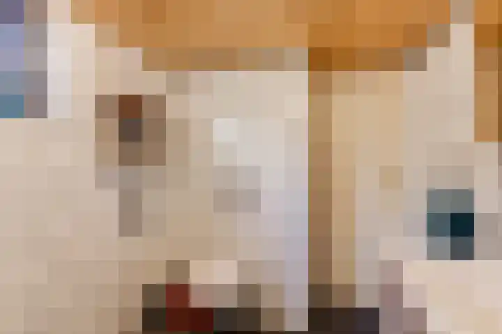 Dijkhoevestraat 15 Spijk thumbnail 16