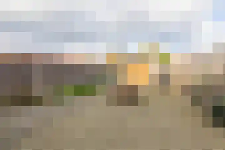 Dijkhoevestraat 15 Spijk thumbnail 33