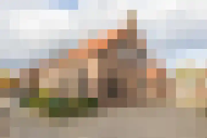 Dijkhoevestraat 15 Spijk thumbnail 34
