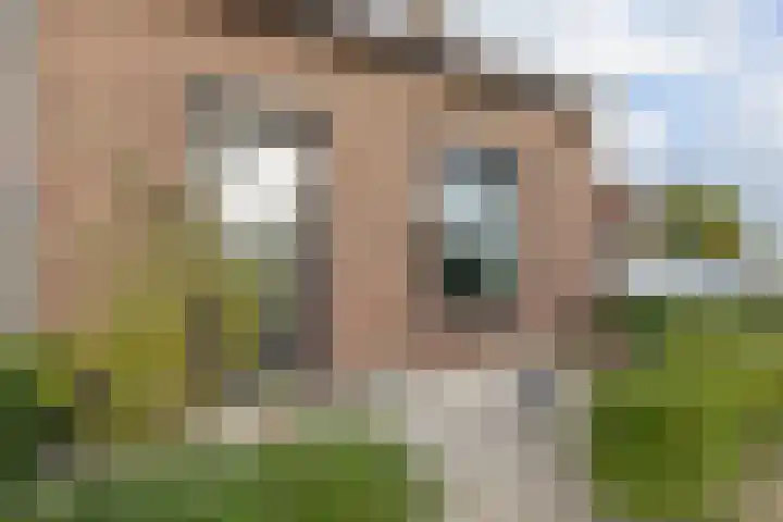 Dijkhoevestraat 15 Spijk thumbnail 35