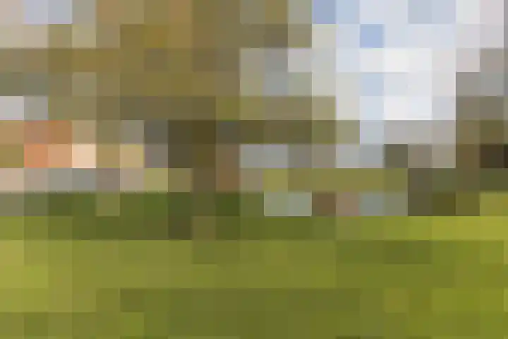 Dijkhoevestraat 15 Spijk thumbnail 38