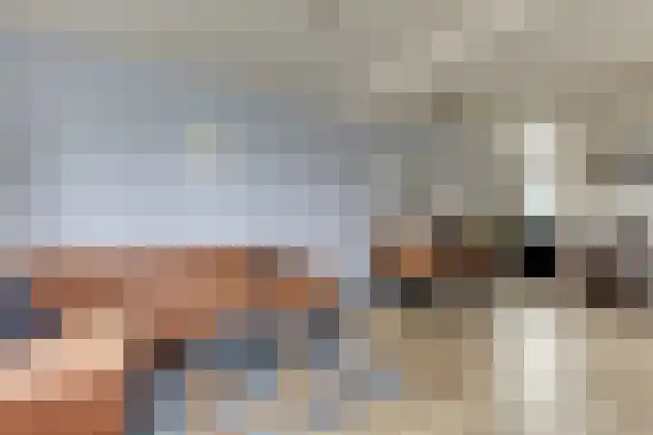 Dijkhoevestraat 15 Spijk thumbnail 9