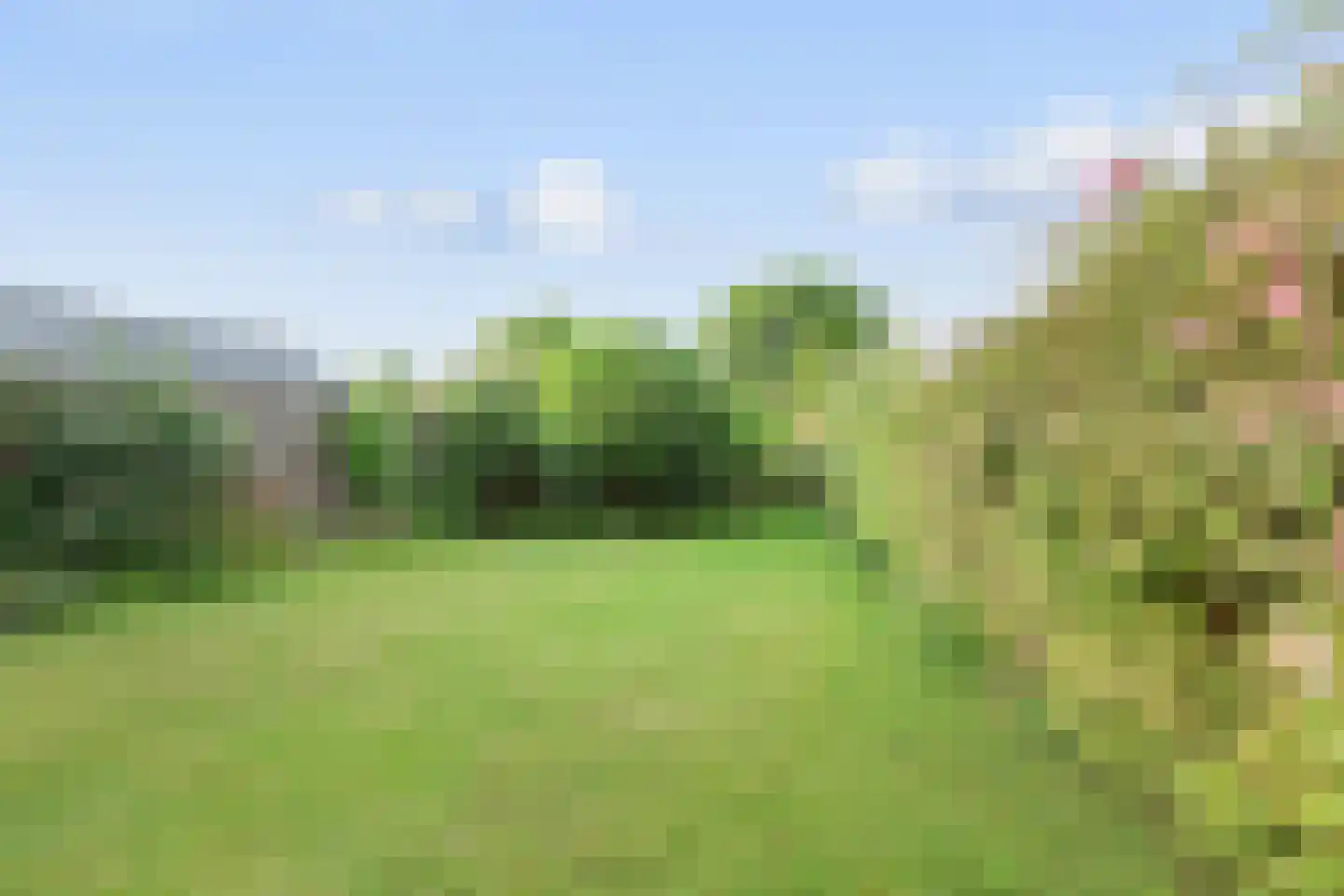 Dijkhoevestraat 17 Spijk thumbnail 20