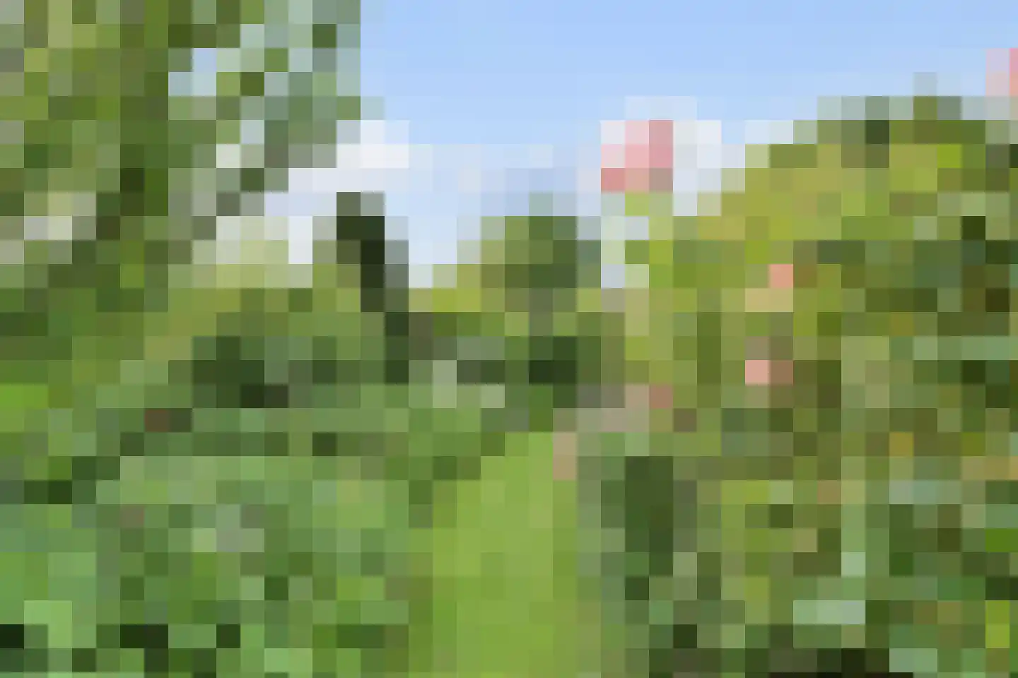 Dijkhoevestraat 17 Spijk thumbnail 21
