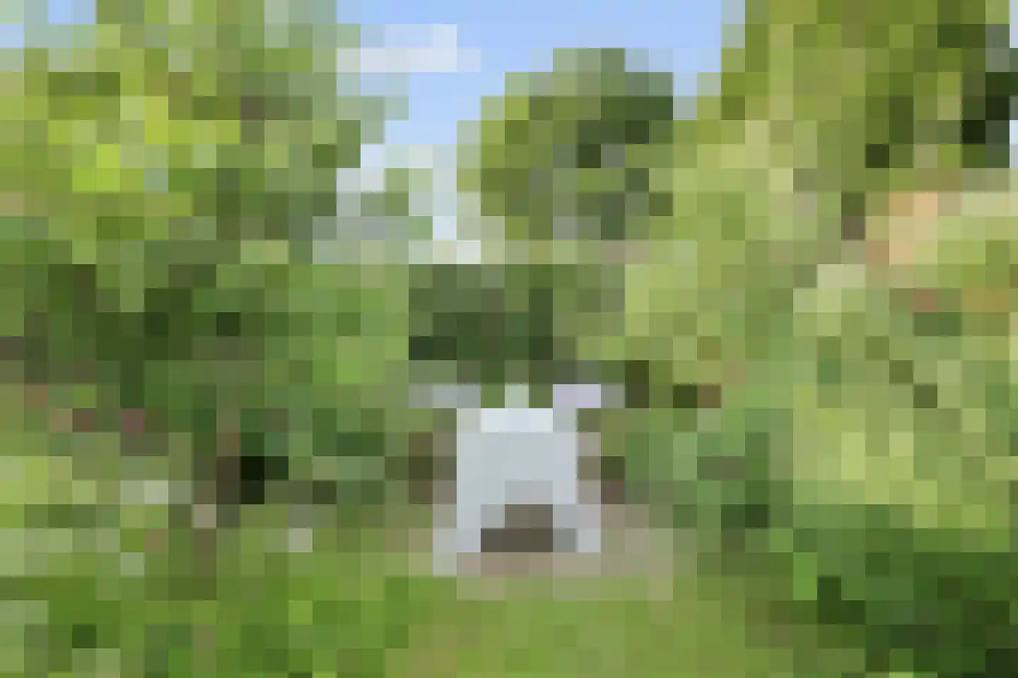 Dijkhoevestraat 17 Spijk thumbnail 23