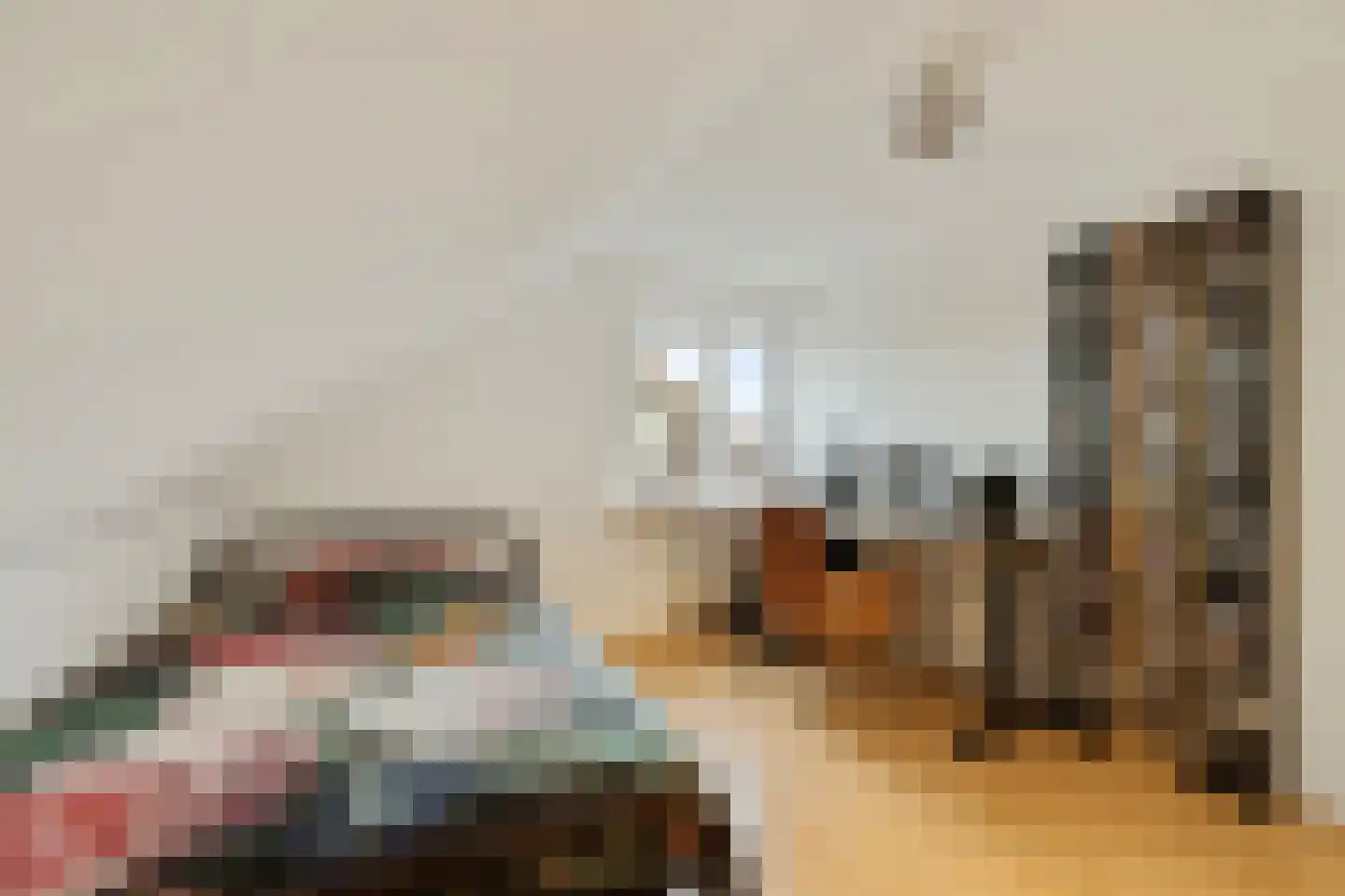 Dijkhoevestraat 17 Spijk thumbnail 28