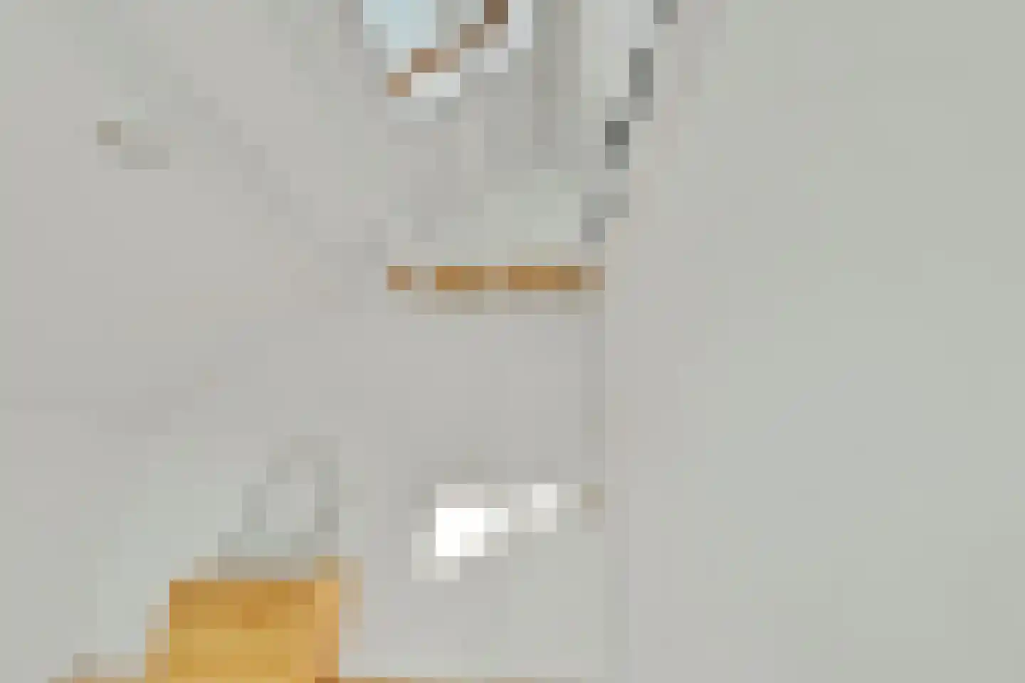 Dijkhoevestraat 17 Spijk thumbnail 32