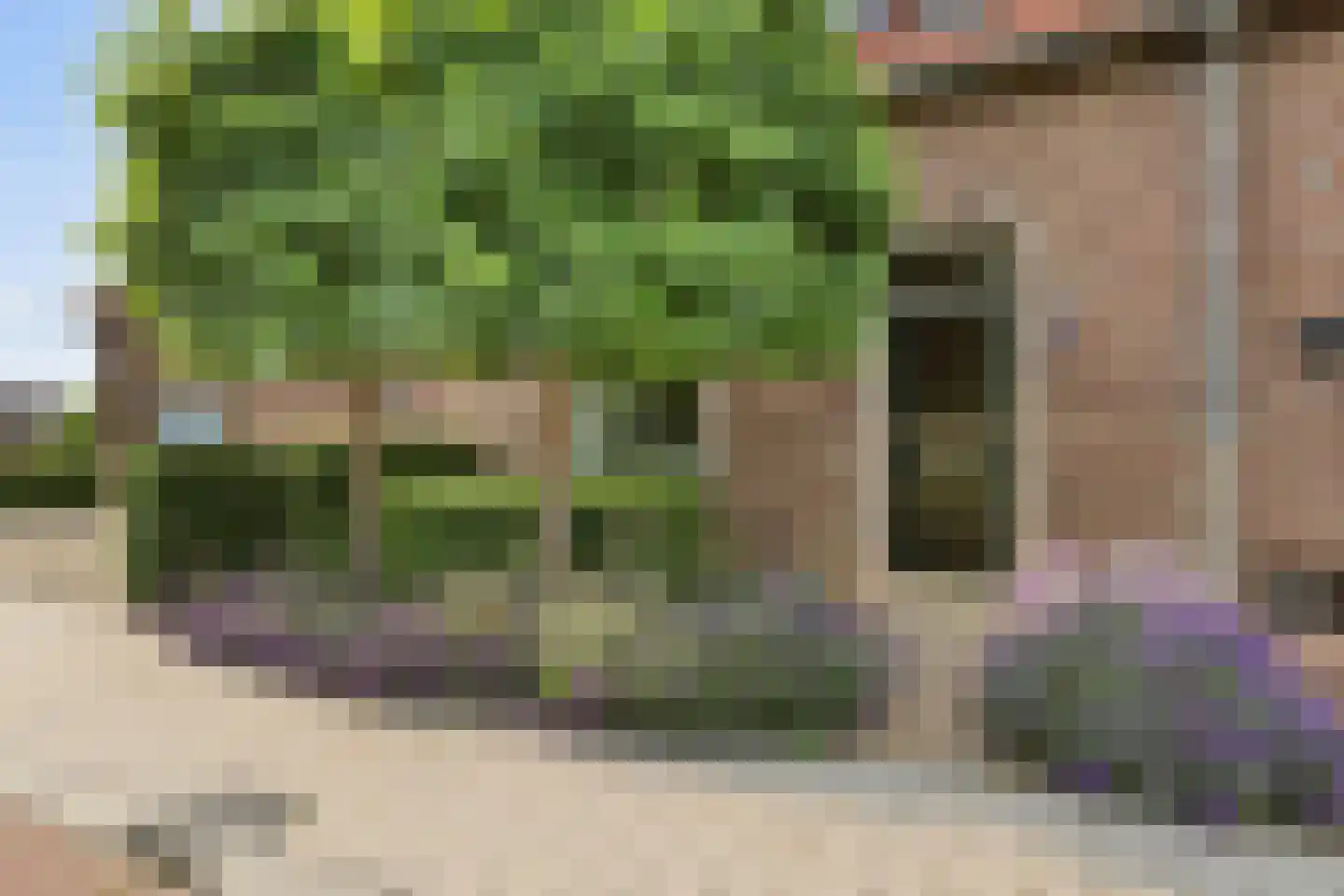 Dijkhoevestraat 17 Spijk thumbnail 33