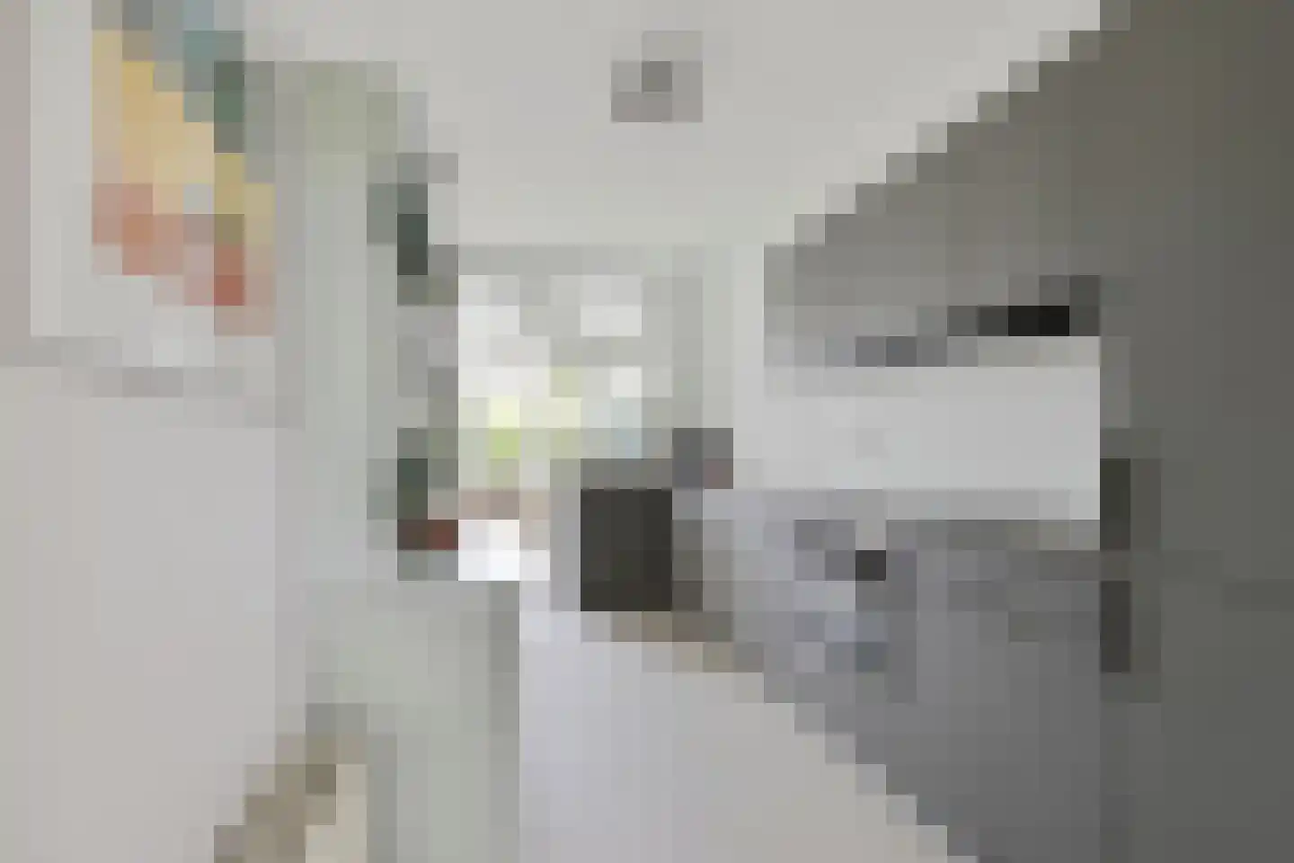 Dijkhoevestraat 17 Spijk thumbnail 5