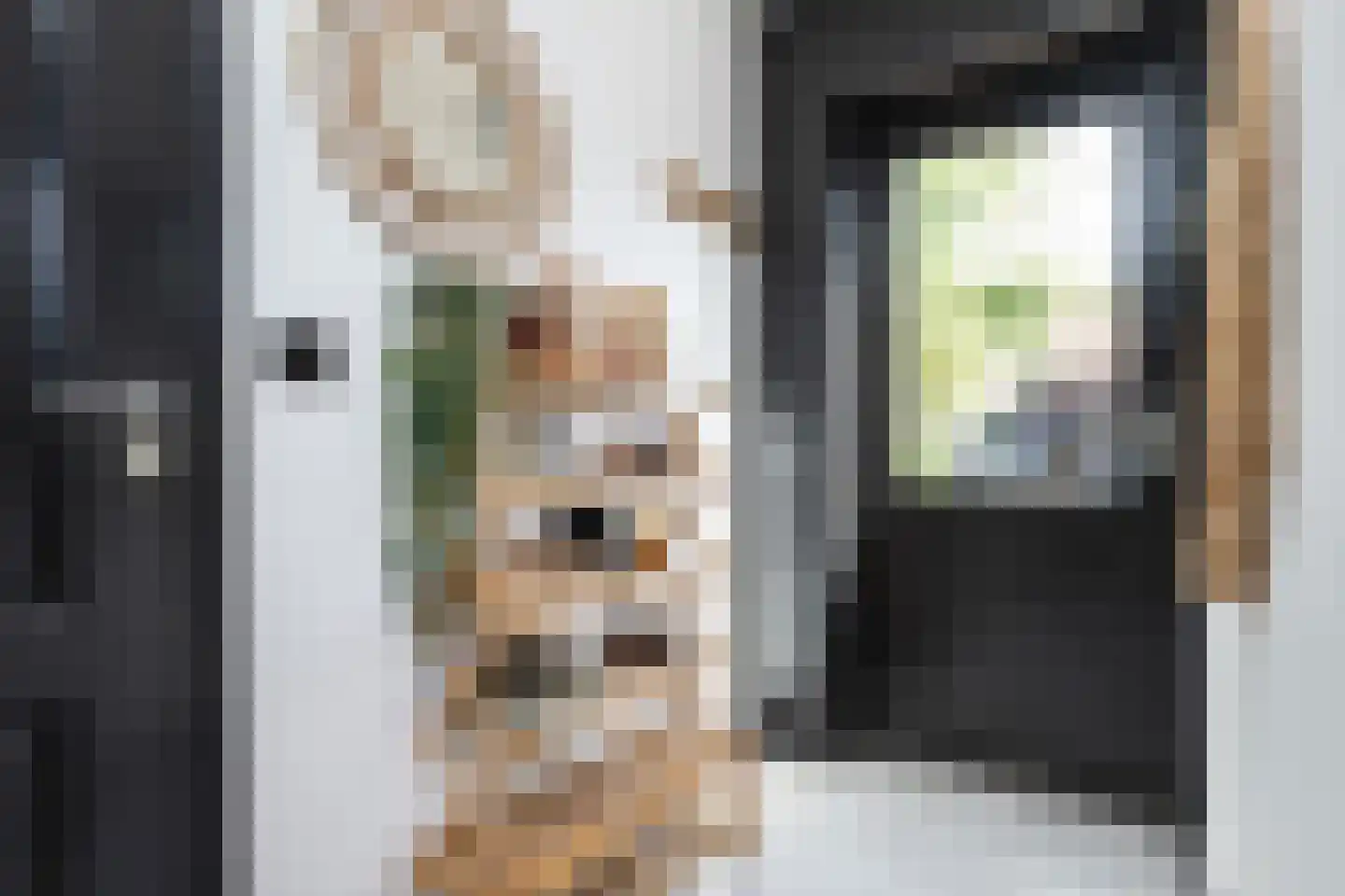 Dijkhof 18 Stad aan 't Haringvliet thumbnail 12