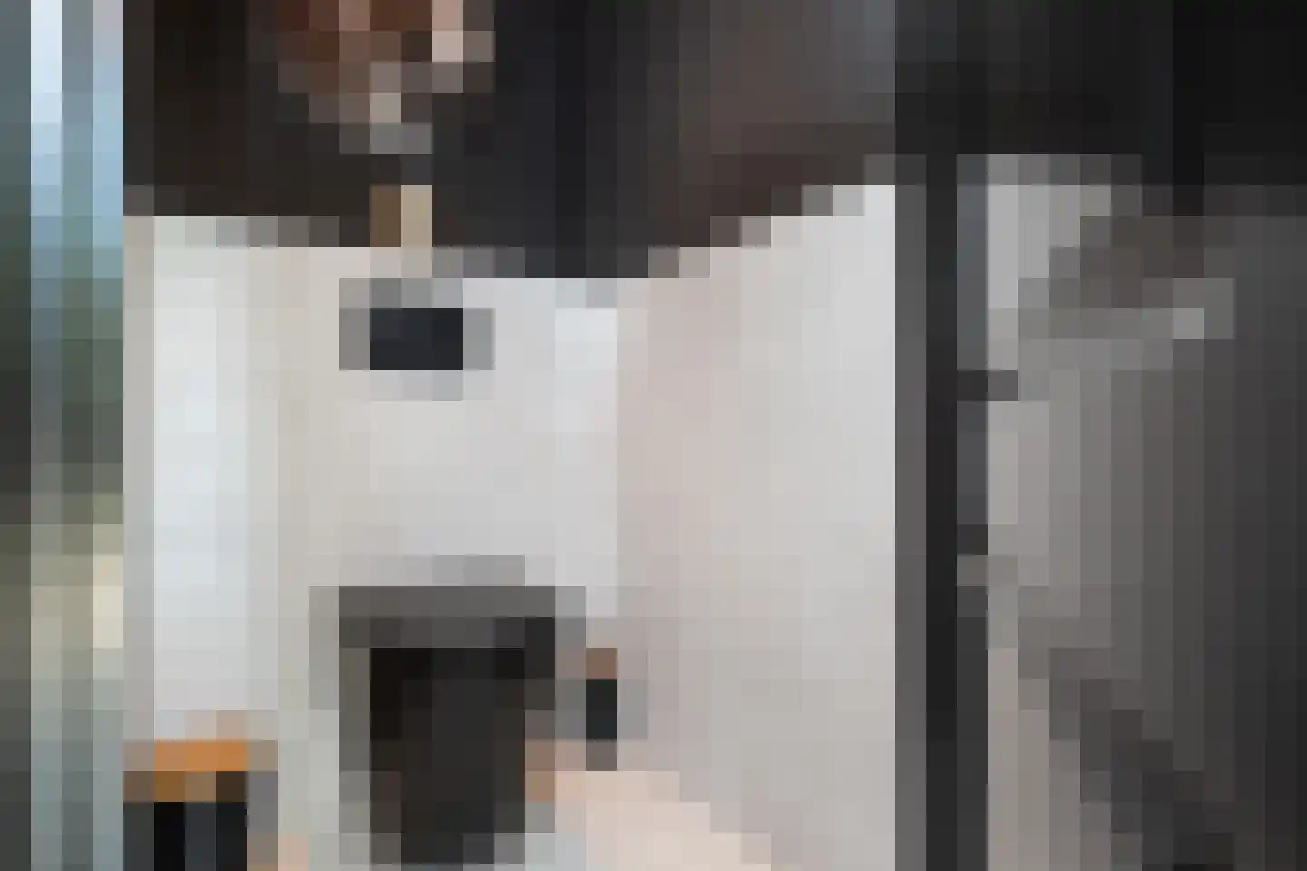 Dijkhof 18 Stad aan 't Haringvliet thumbnail 15