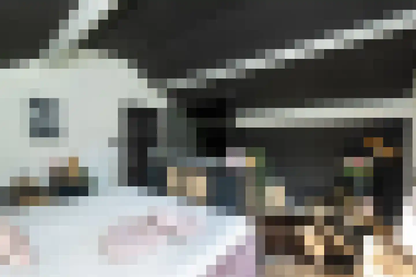 Dijkhof 18 Stad aan 't Haringvliet thumbnail 19