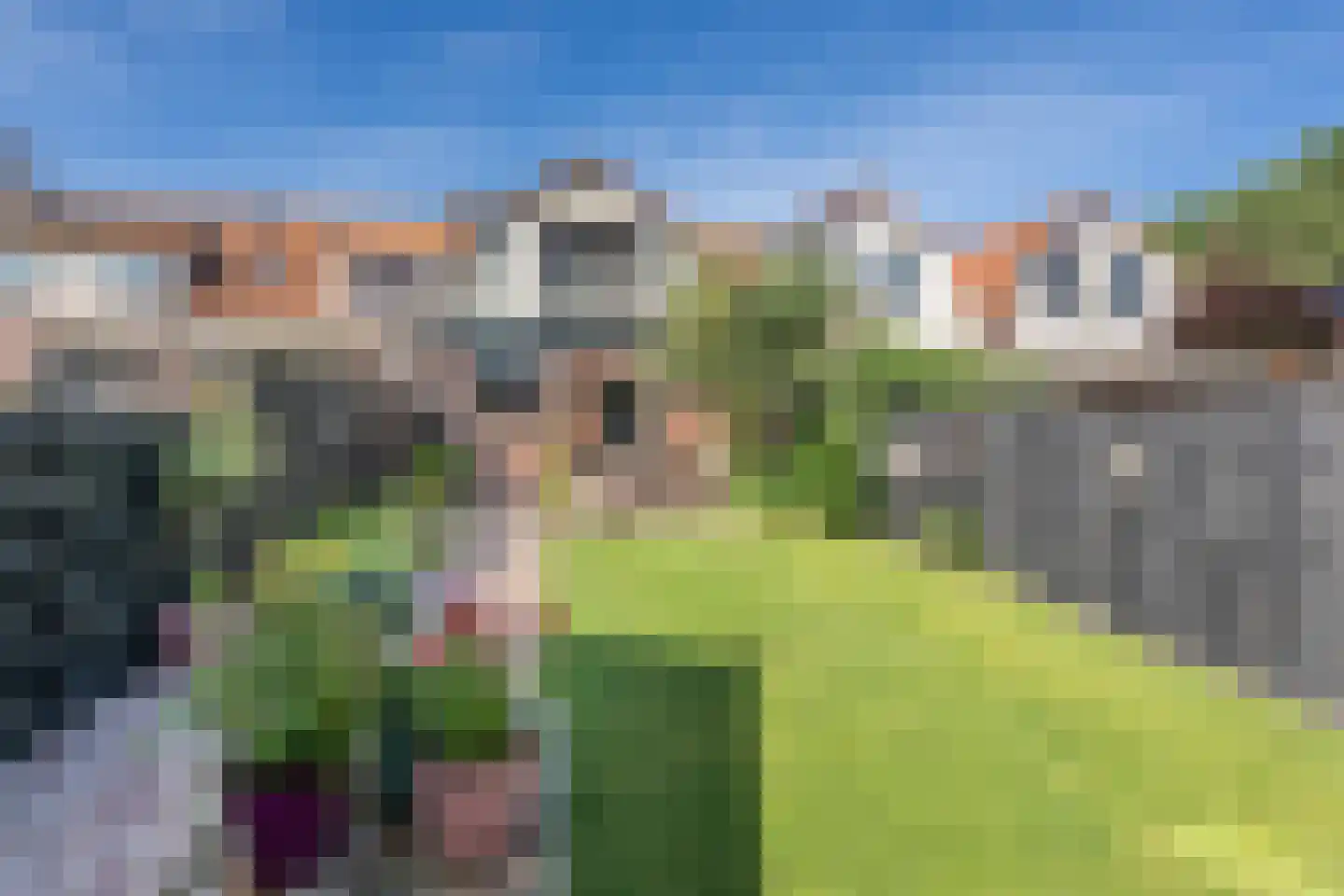 Dijkhof 18 Stad aan 't Haringvliet foto 2
