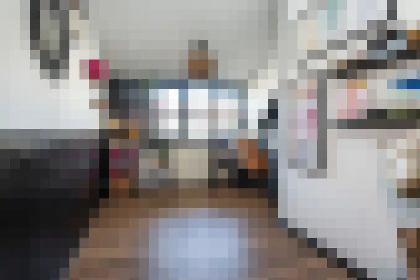 Dijkhof 18 Stad aan 't Haringvliet thumbnail 21