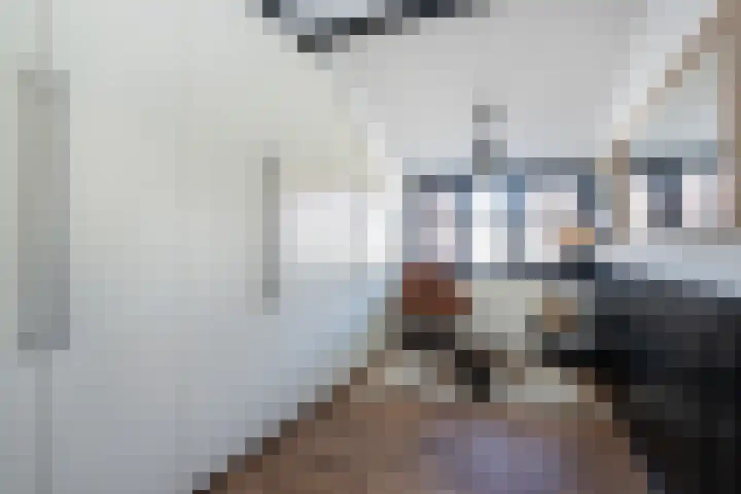 Dijkhof 18 Stad aan 't Haringvliet thumbnail 22